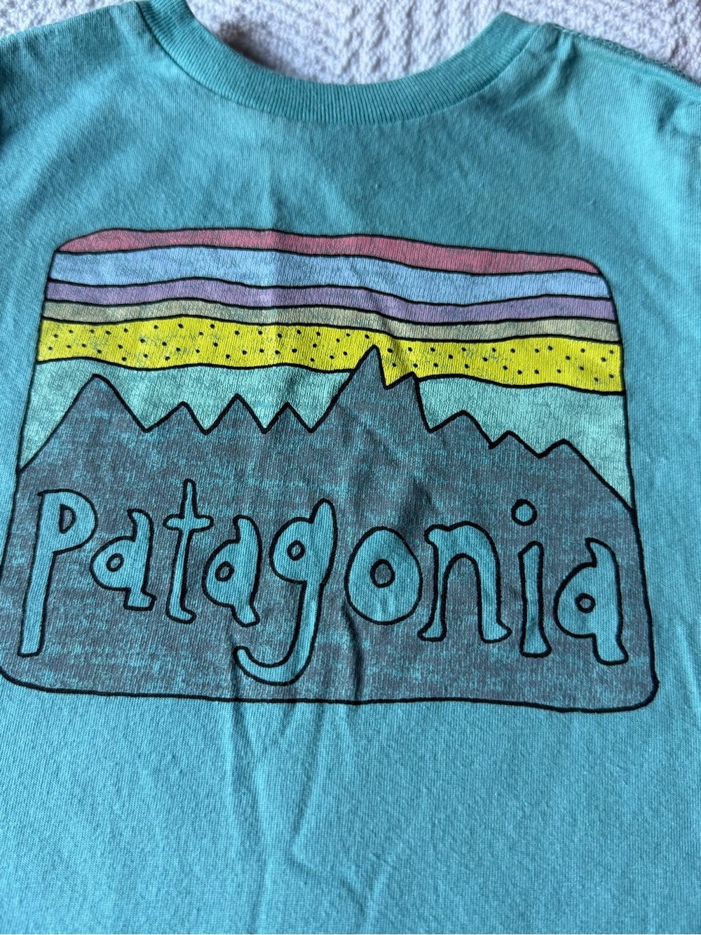 Patagonia Kids Teal Graphic Pajama Top with Multicolor Stripe Design
